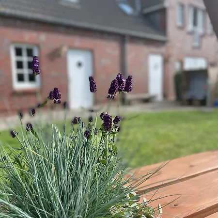 Lieselotte Strandklamotte Appartamento Wulfen auf Fehmarn